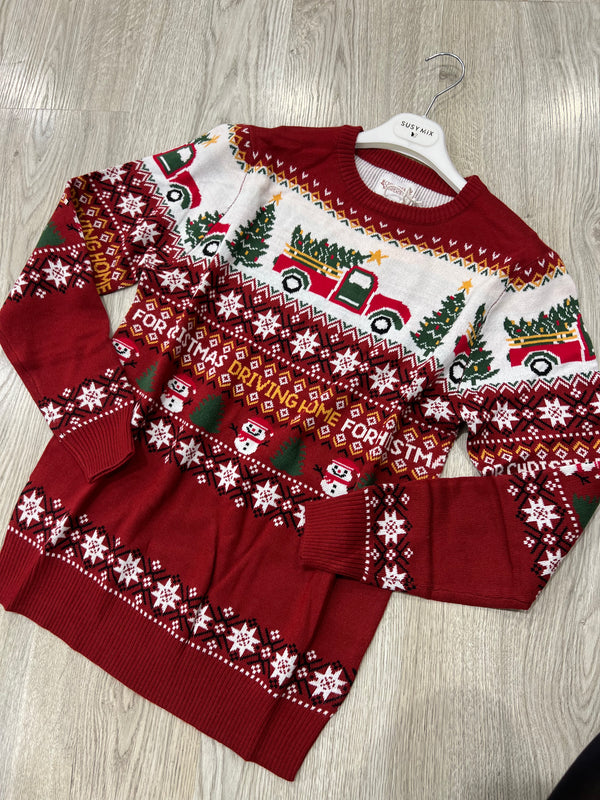 Maglione Natale Driving home